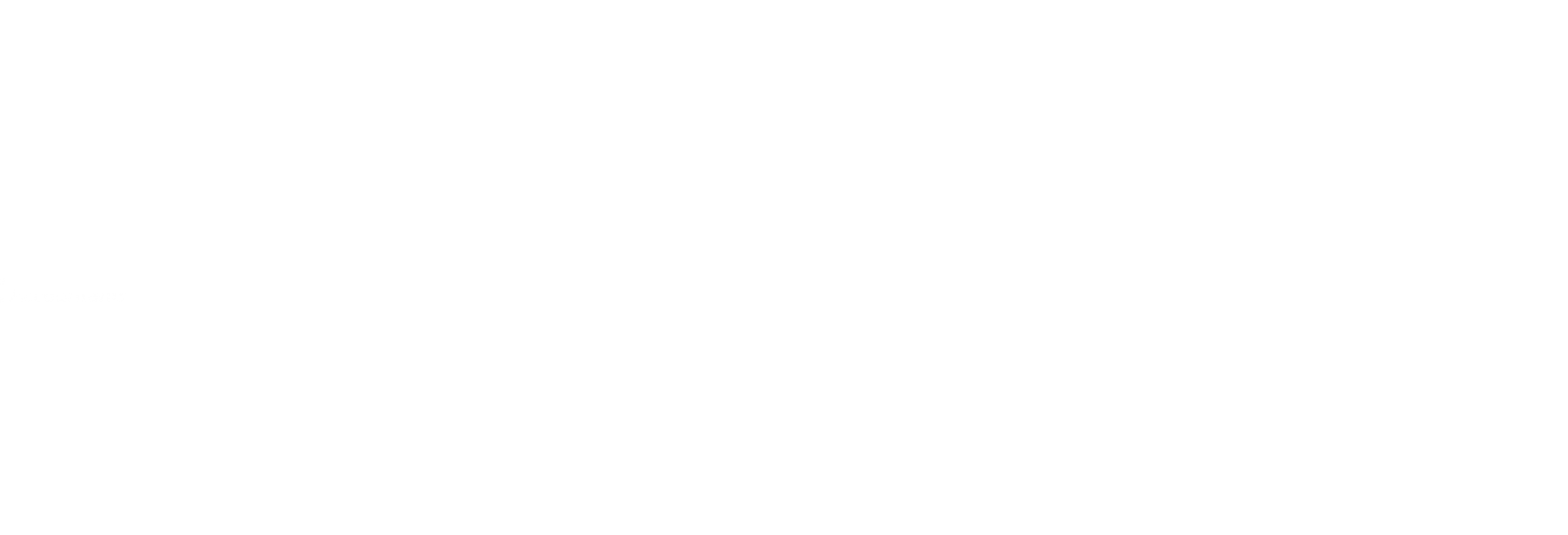 Biz Accountants Logo White